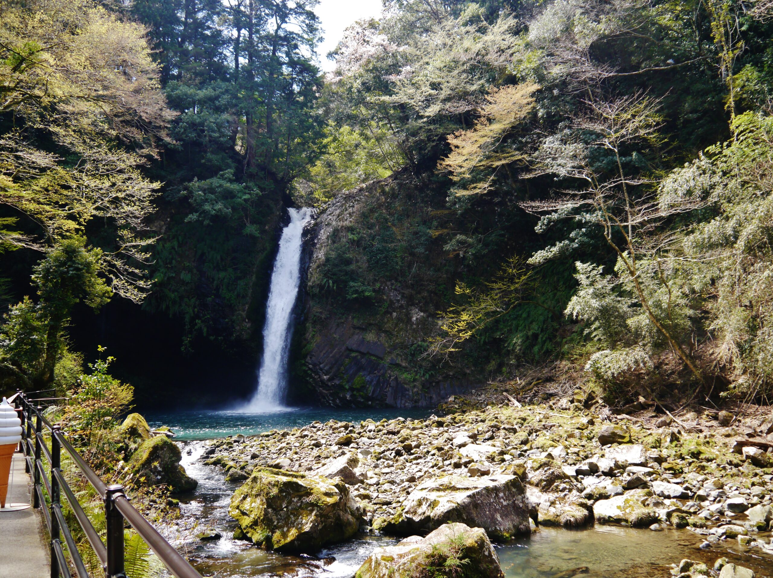 伊豆淨蓮瀑布與森林景觀