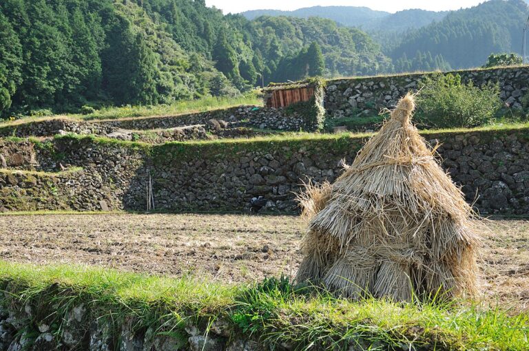 【佐賀城本丸歷史館】2026完整攻略：免費入場+交通+必看亮點