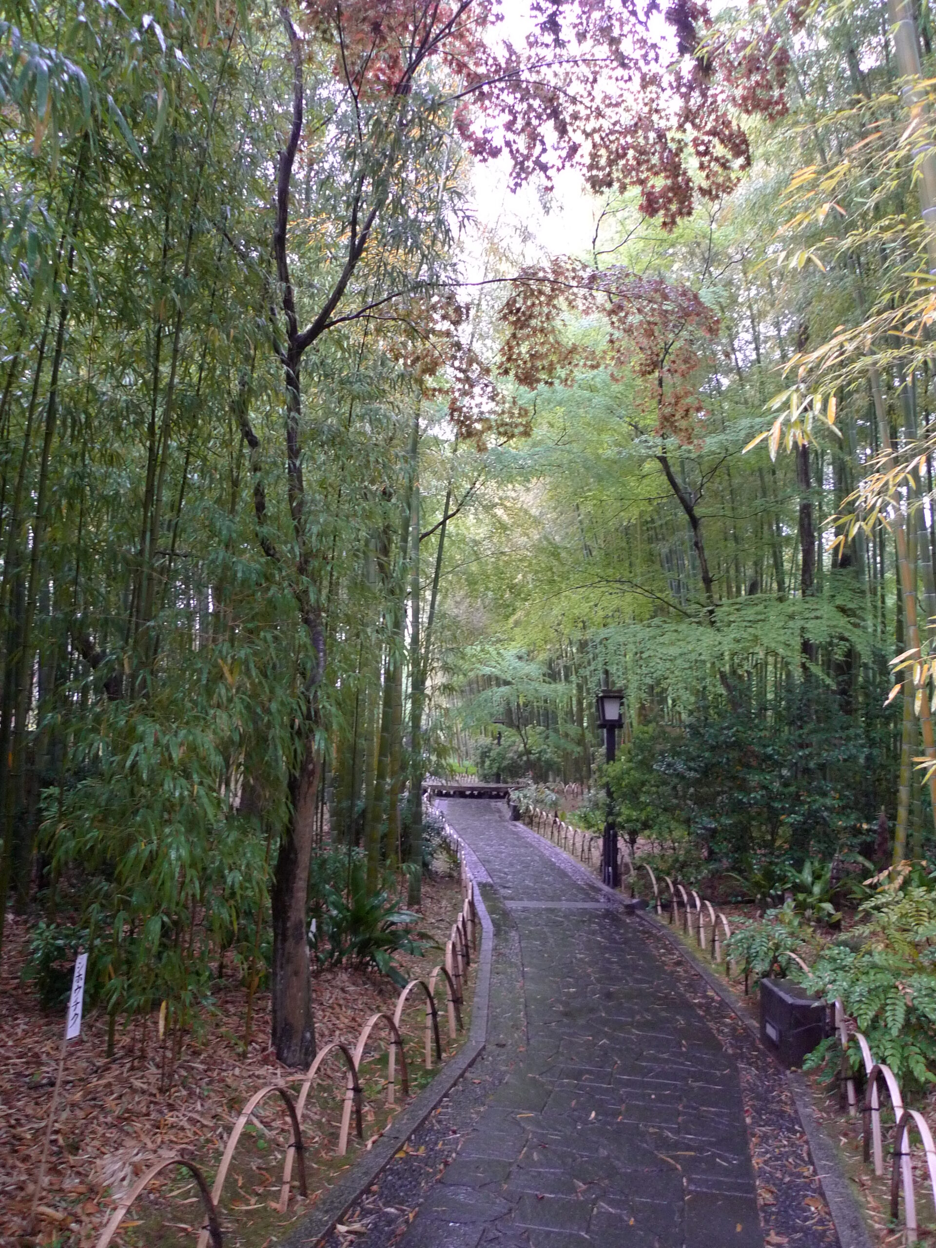 修善寺溫泉竹林露天風呂