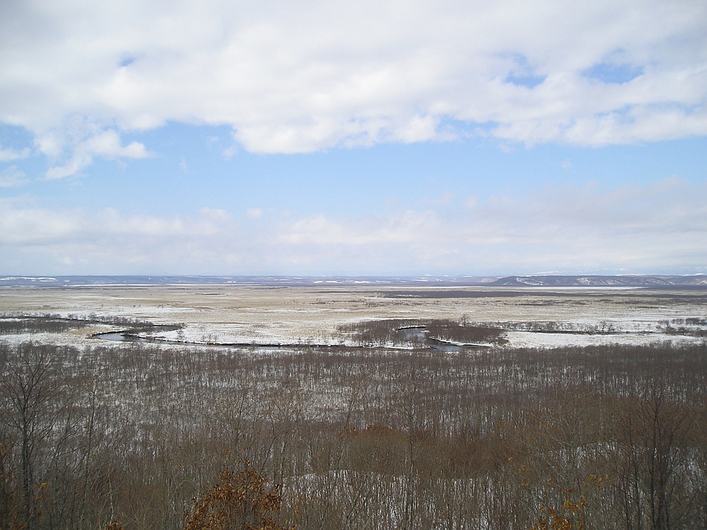 冬季細岡展望台的釧路濕原全景