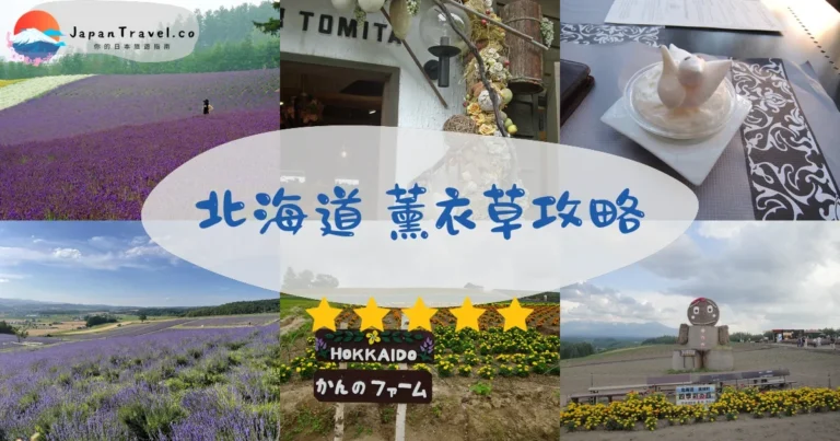 【北海道薰衣草】7月最美8景點|富良野/美瑛交通