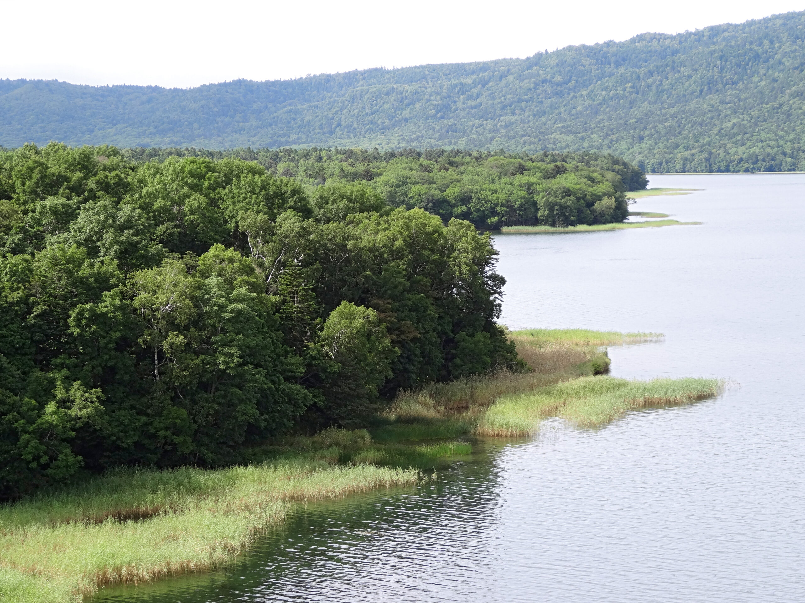 北海道釧路阿寒湖