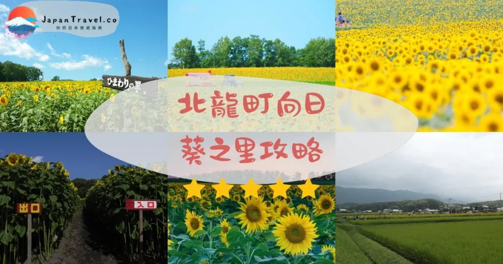 旭川北龍町向日葵之里攻略 - 完整遊覽指南 | JapanTravel.co