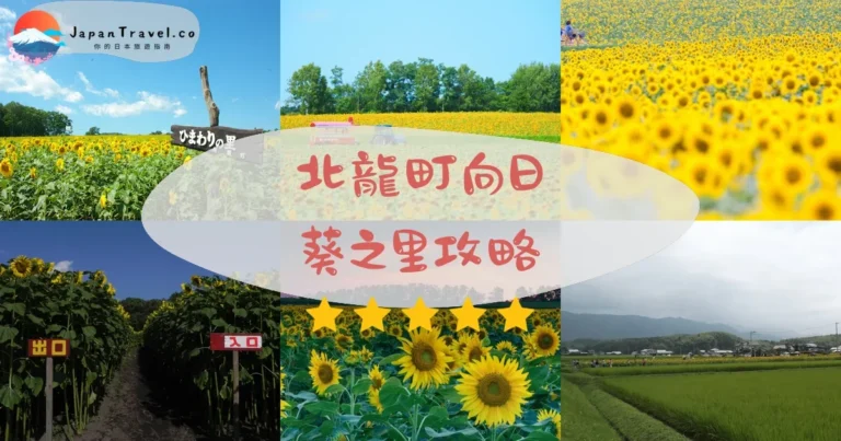 【北龍町向日葵之里】免費入場：花期+交通+200萬株金黃花海