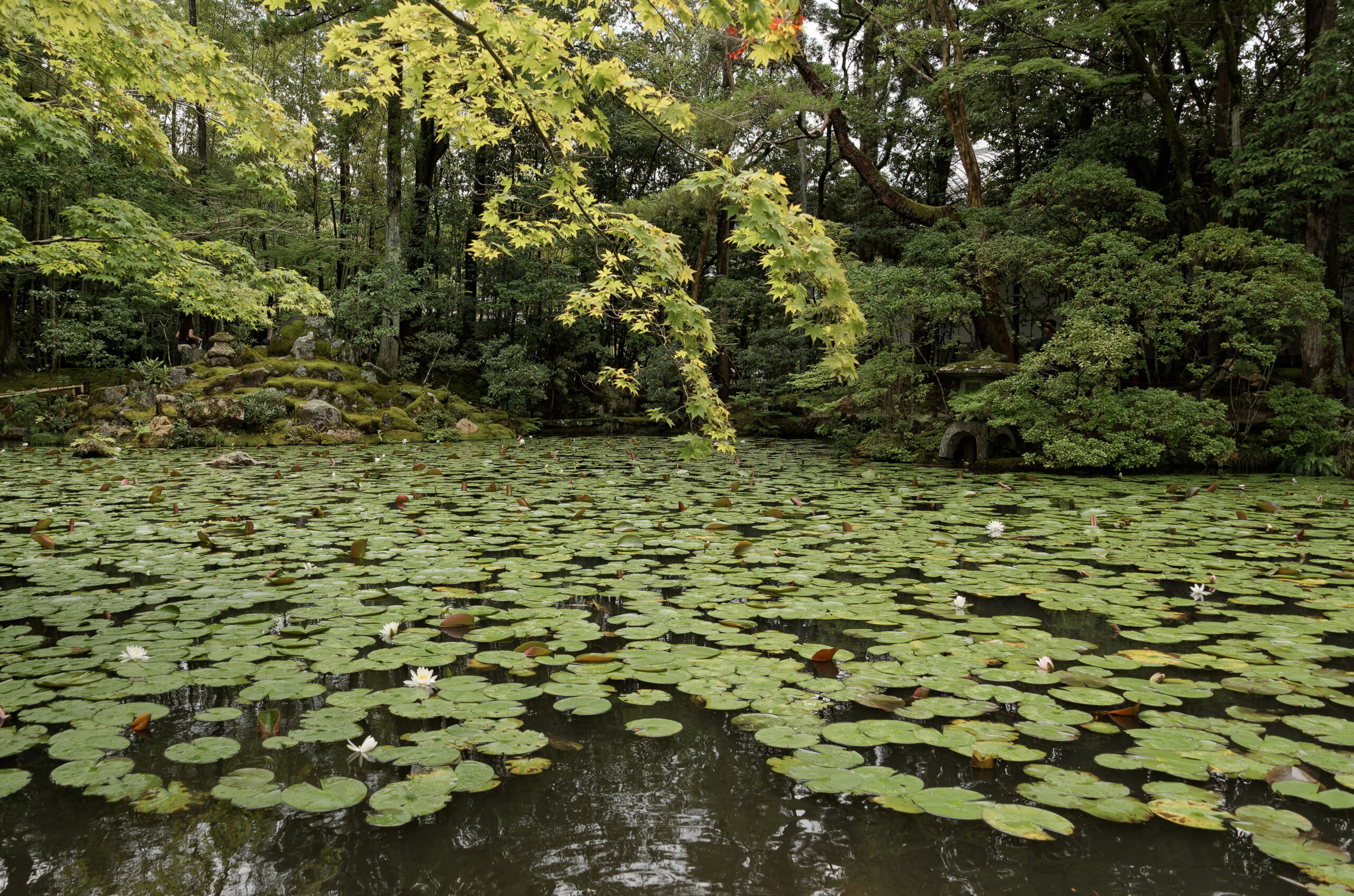 南禪寺天授庵庭園,京都