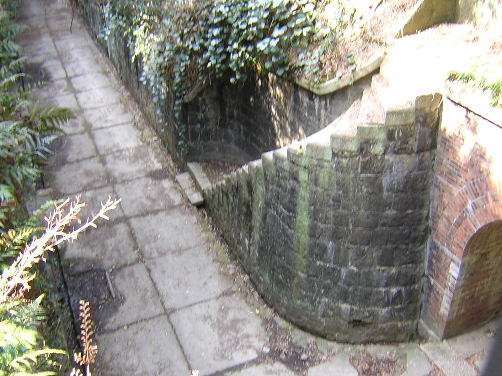 友島海壇:從上方來了