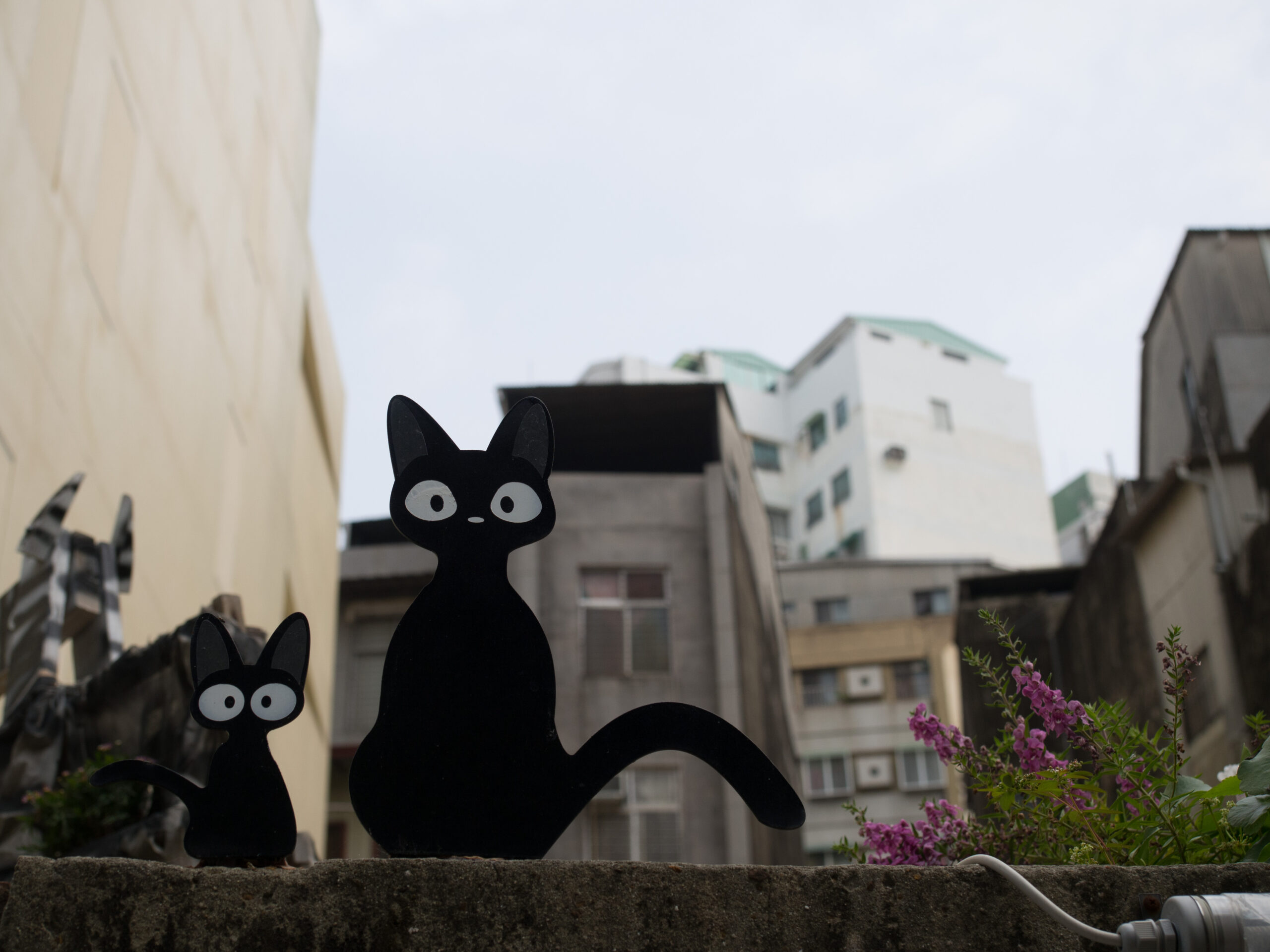台南街頭牆上的黑貓裝飾