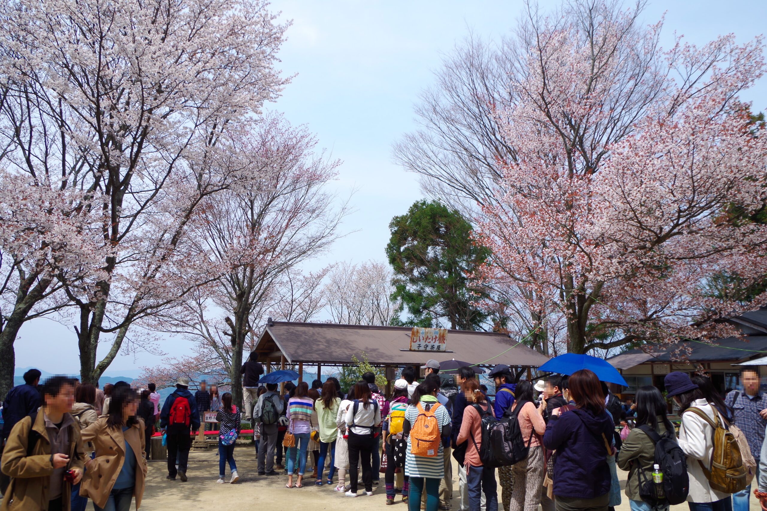 吉野山花矢倉展望台全景