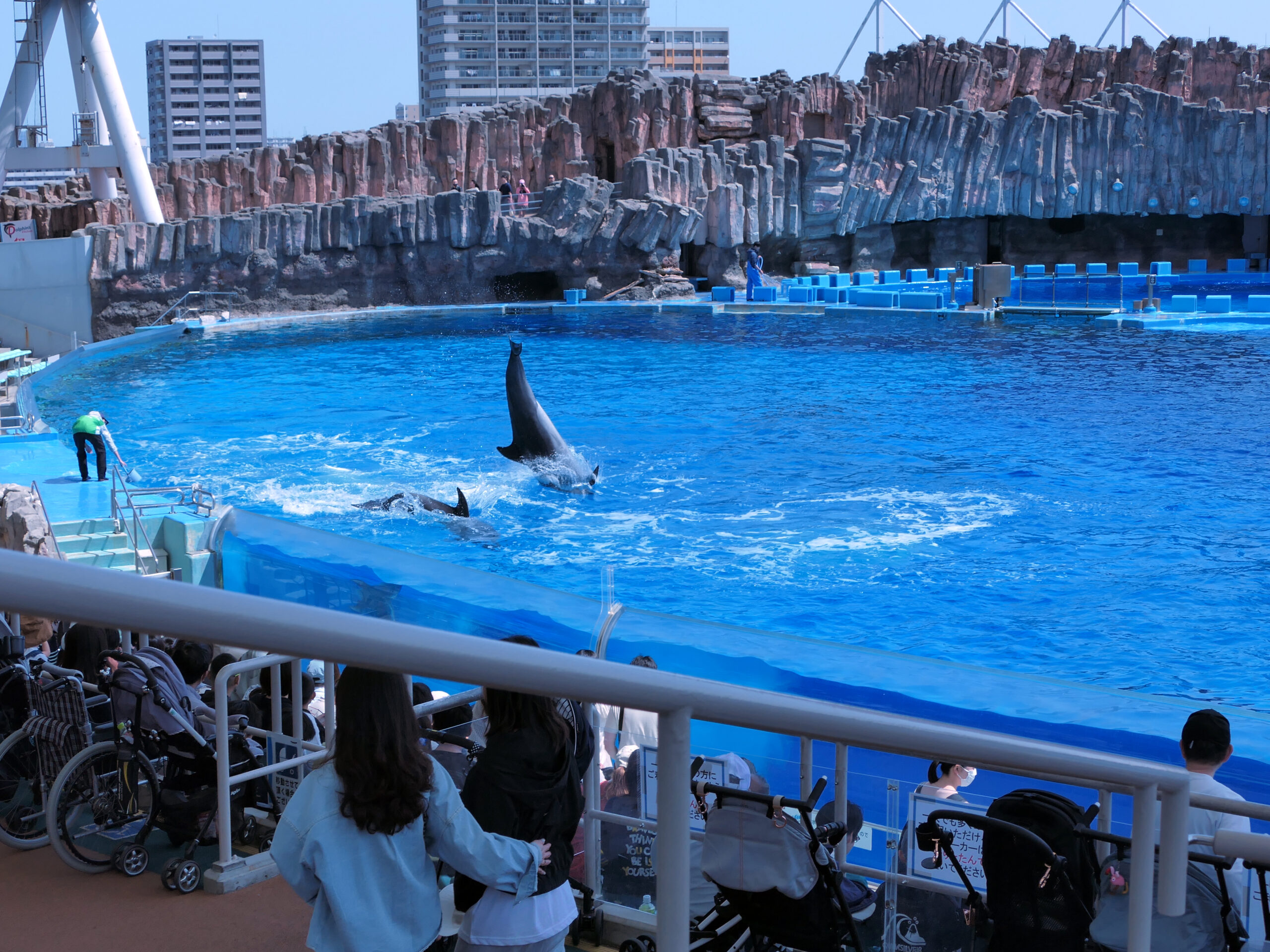 名古屋港公共水族館（名古屋港區）
