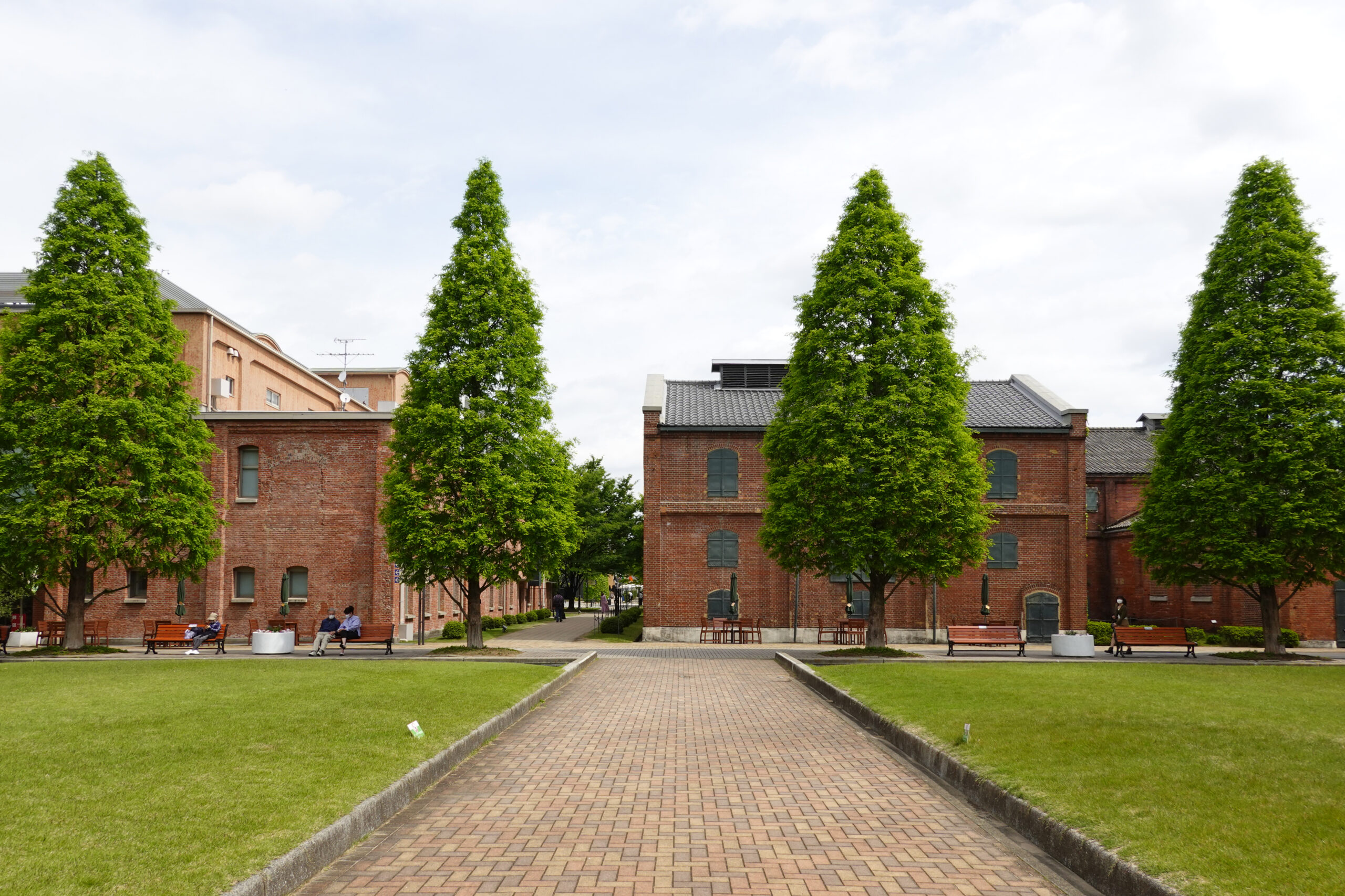 名古屋野立茶園