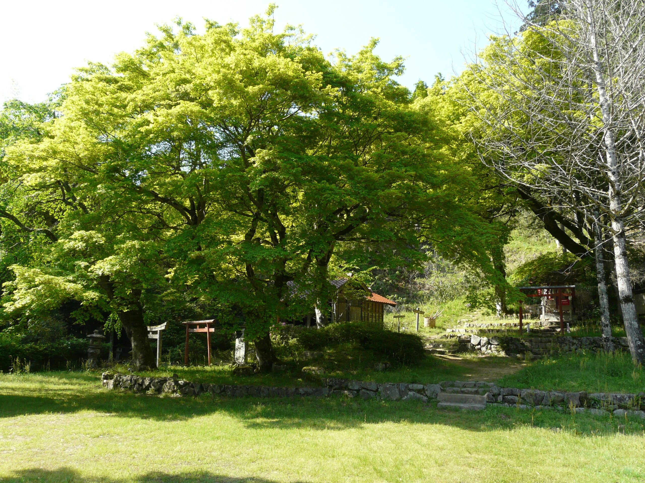 和志原八幡宮神社場地