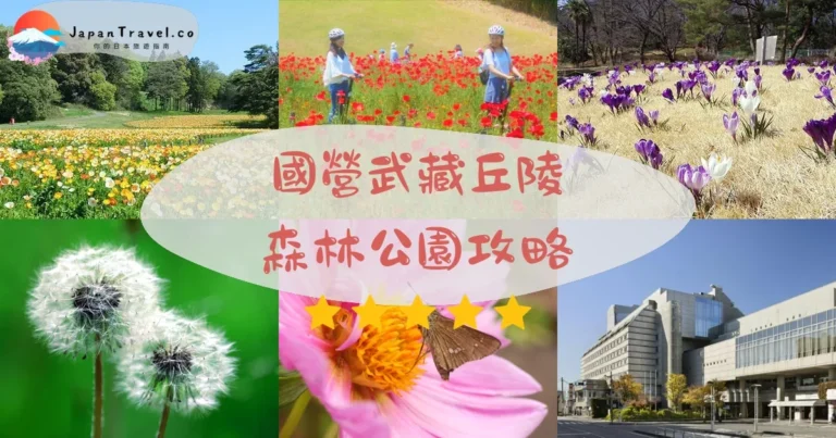 【國營武藏丘陵森林公園】¥450入場｜櫻花/粉蝶花/掃帚草/燈飾