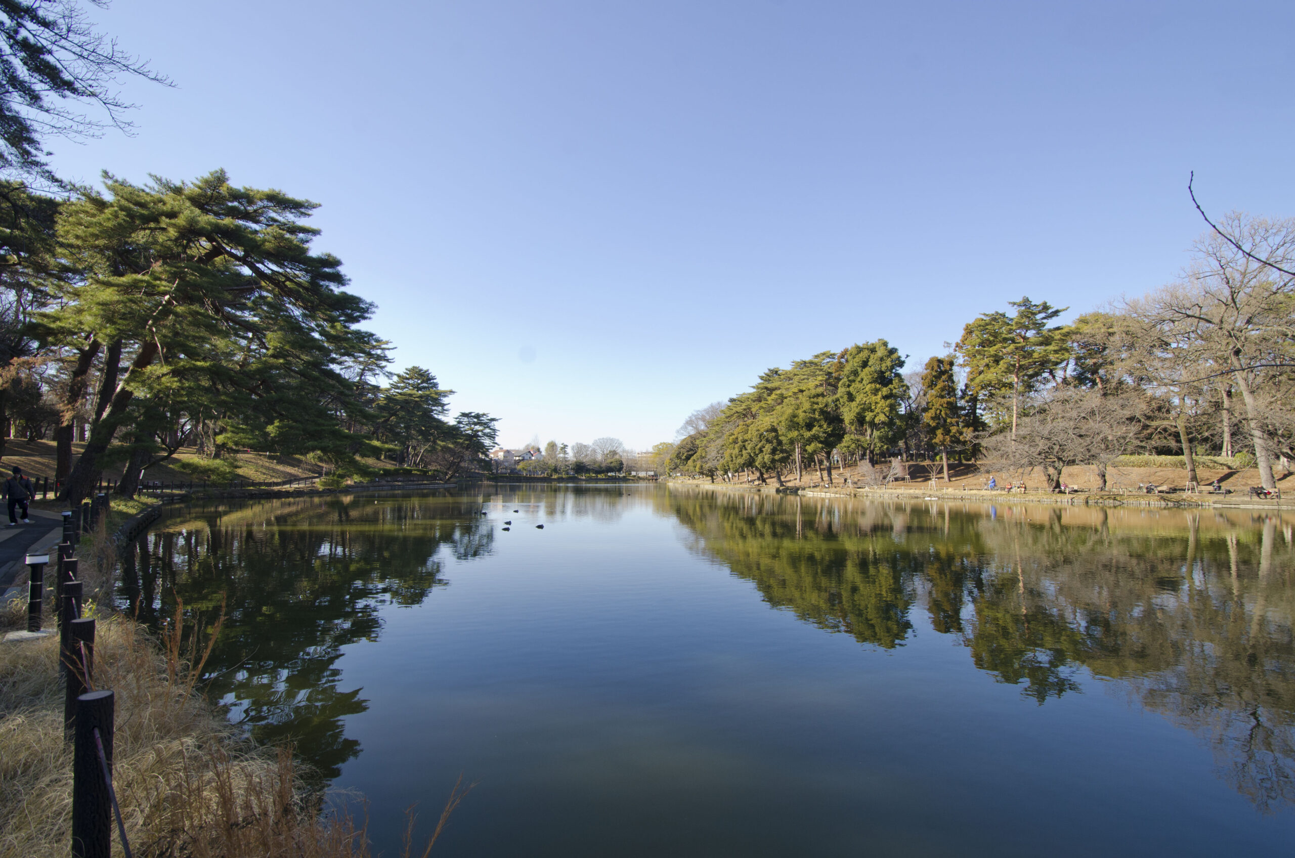大宮公園舟遊池