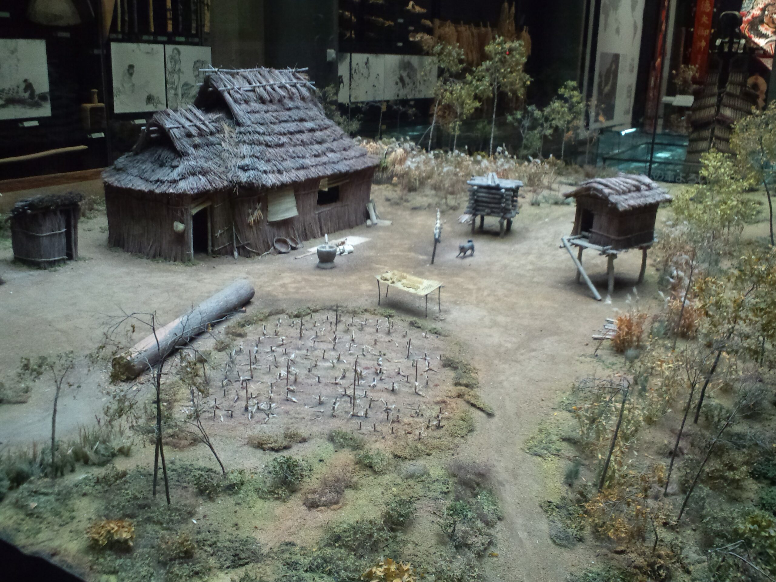 大阪民族學博物館 - 愛努族住屋模型