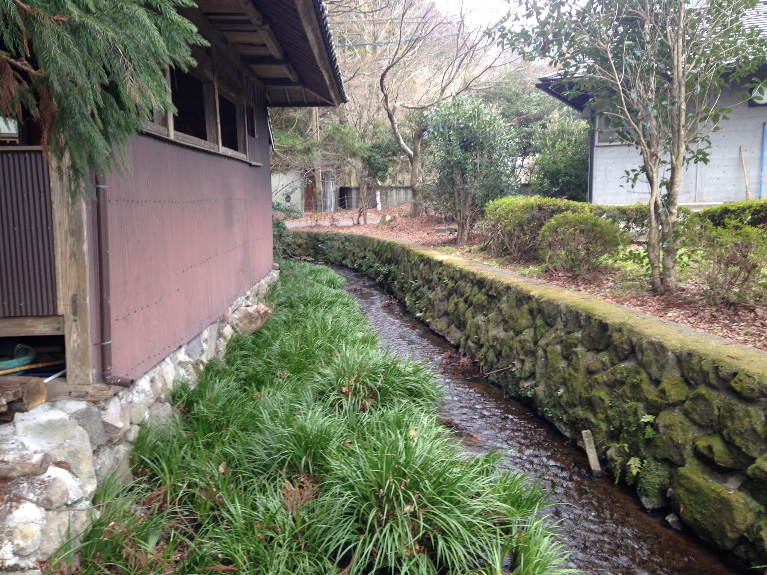 天草神社附近的湖濱小溪