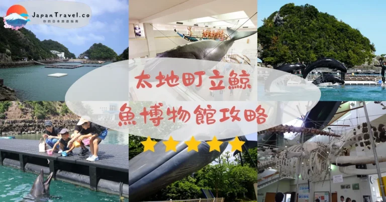 【太地町立鯨魚博物館】門票¥1,800｜400年捕鯨史+海豚表演