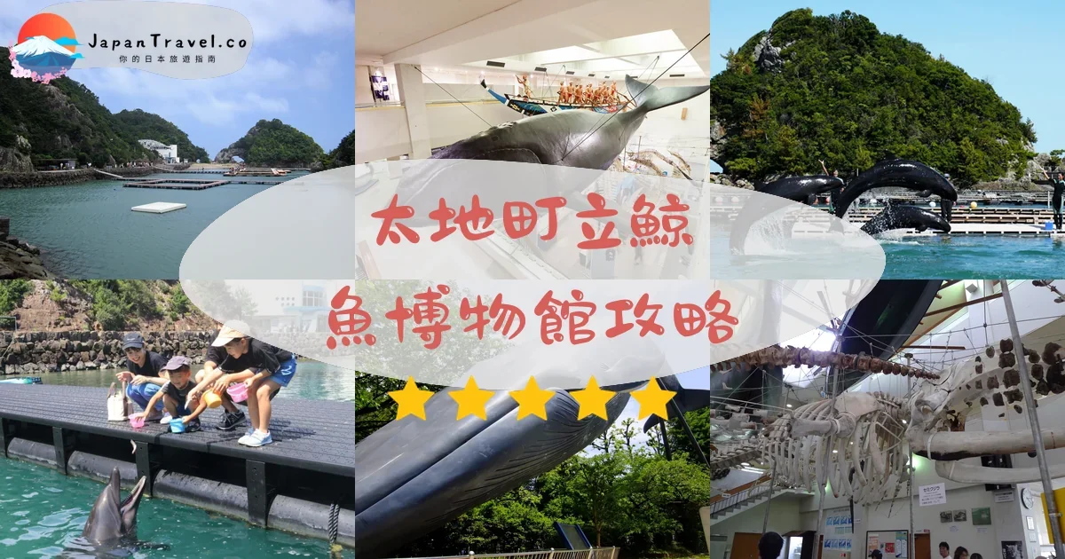 和歌山太地町立鯨魚博物館攻略 - 完整遊覽指南 | JapanTravel.co
