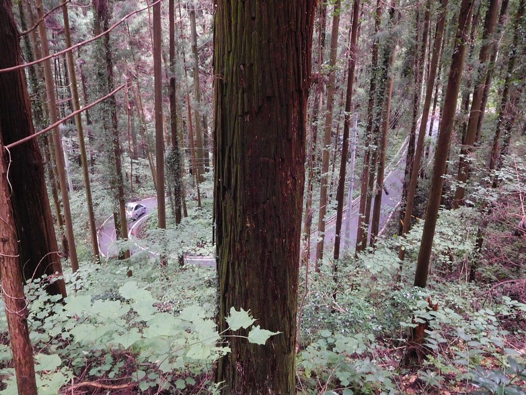 宇都宮城址公園