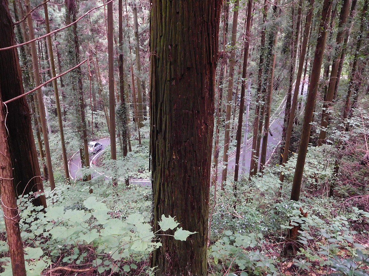 宇都宮城址公園