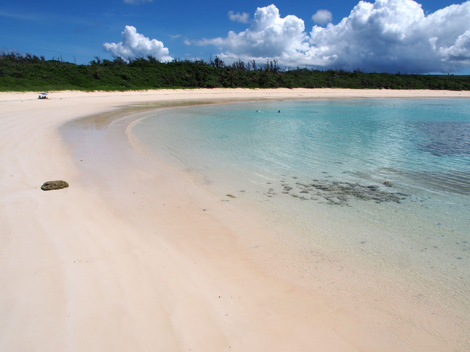 宮古伊拉布海灘花卉
