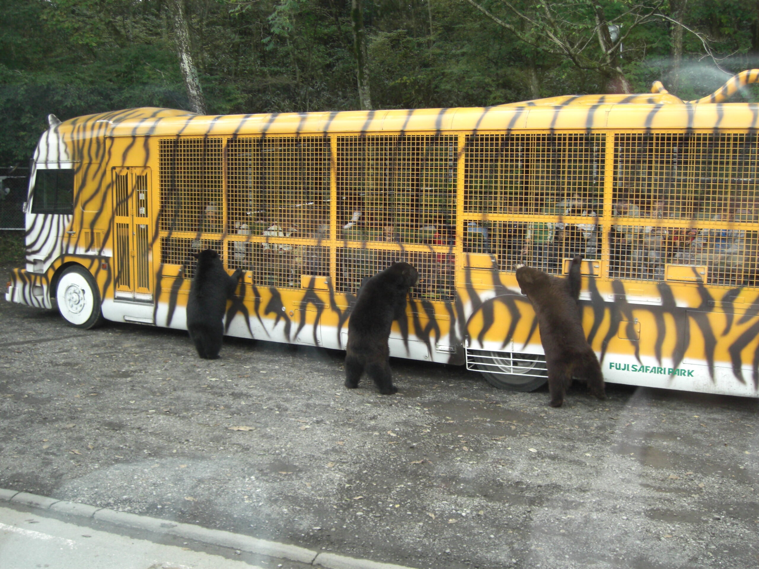 富士野生動物園