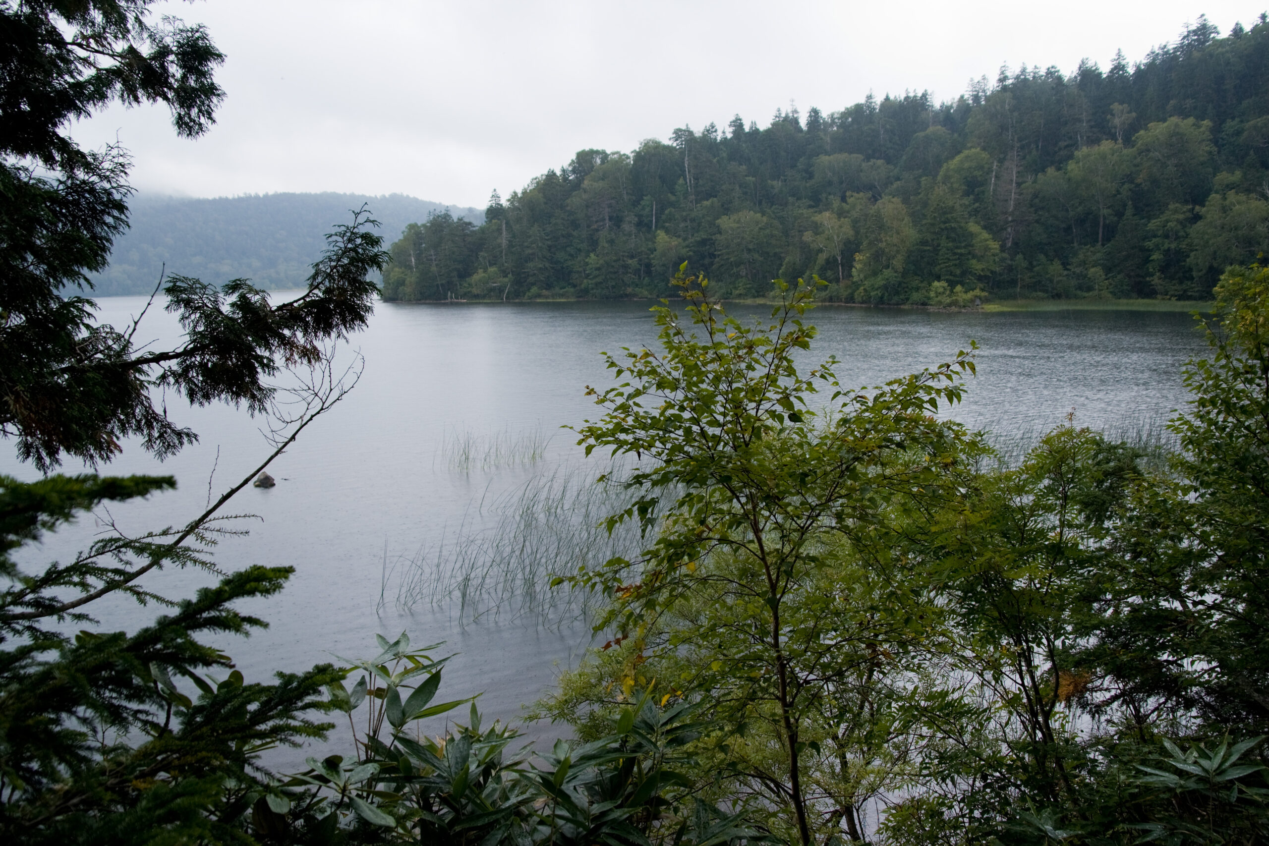 尾瀨沼湖面倒映燧岳全景