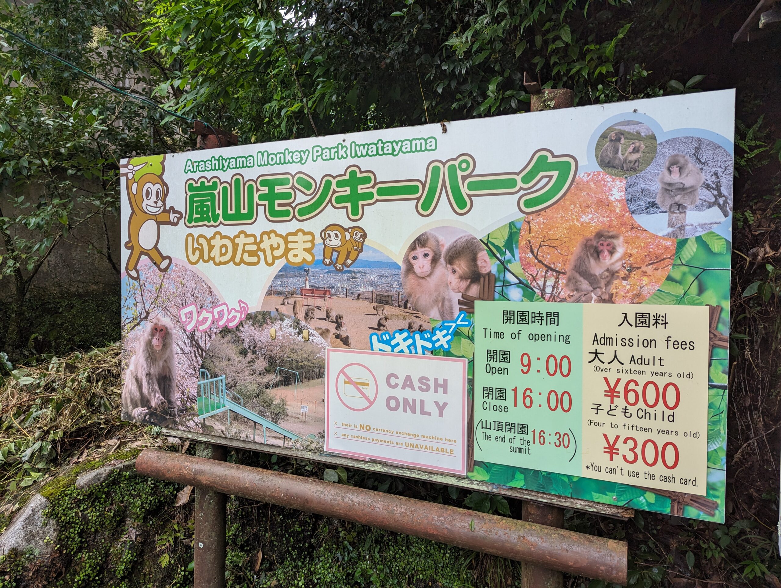嵐山猴子公園岩田山入口標誌