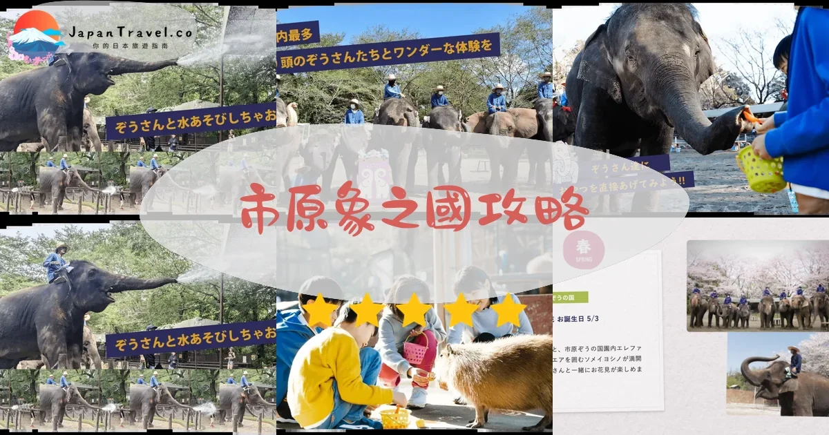 千葉市原象之國攻略 - 完整遊覽指南 | JapanTravel.co