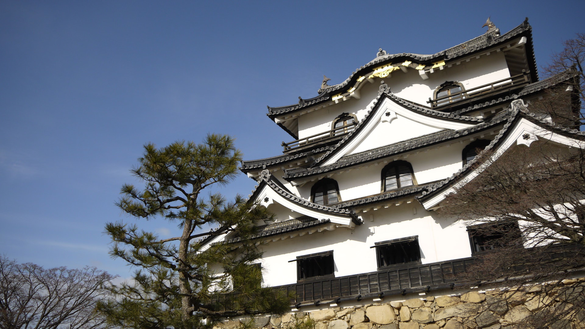 彥根城天守閣外觀