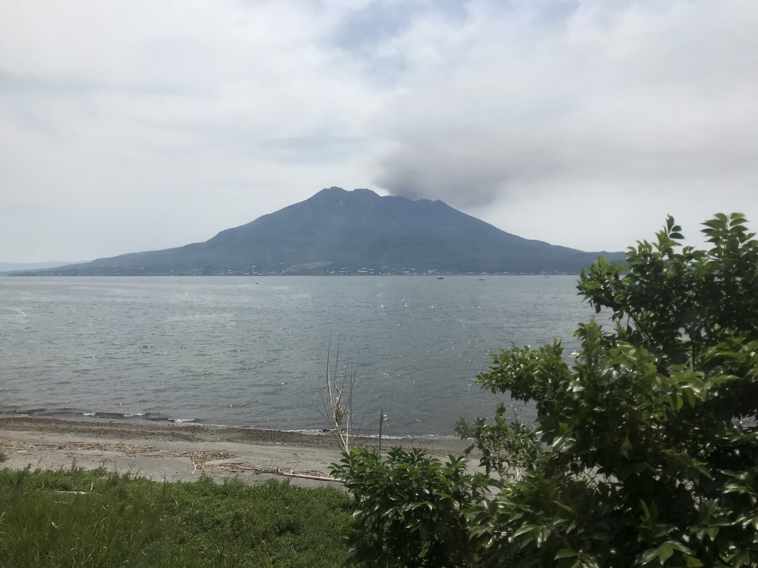 從仙嚴園附近火車上眺望鹿兒島灣與櫻島火山