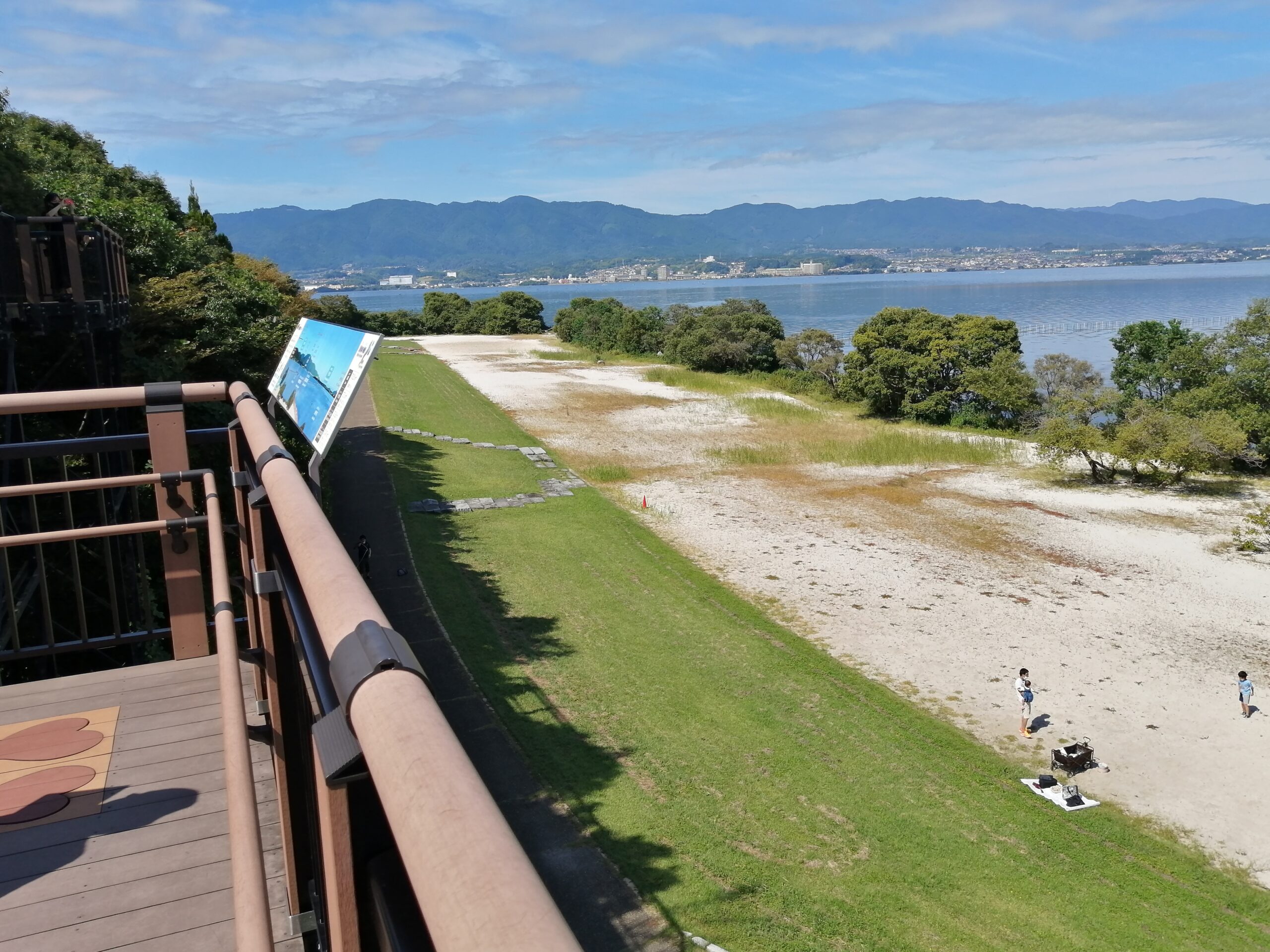 從樹冠步道俯瞰琵琶湖