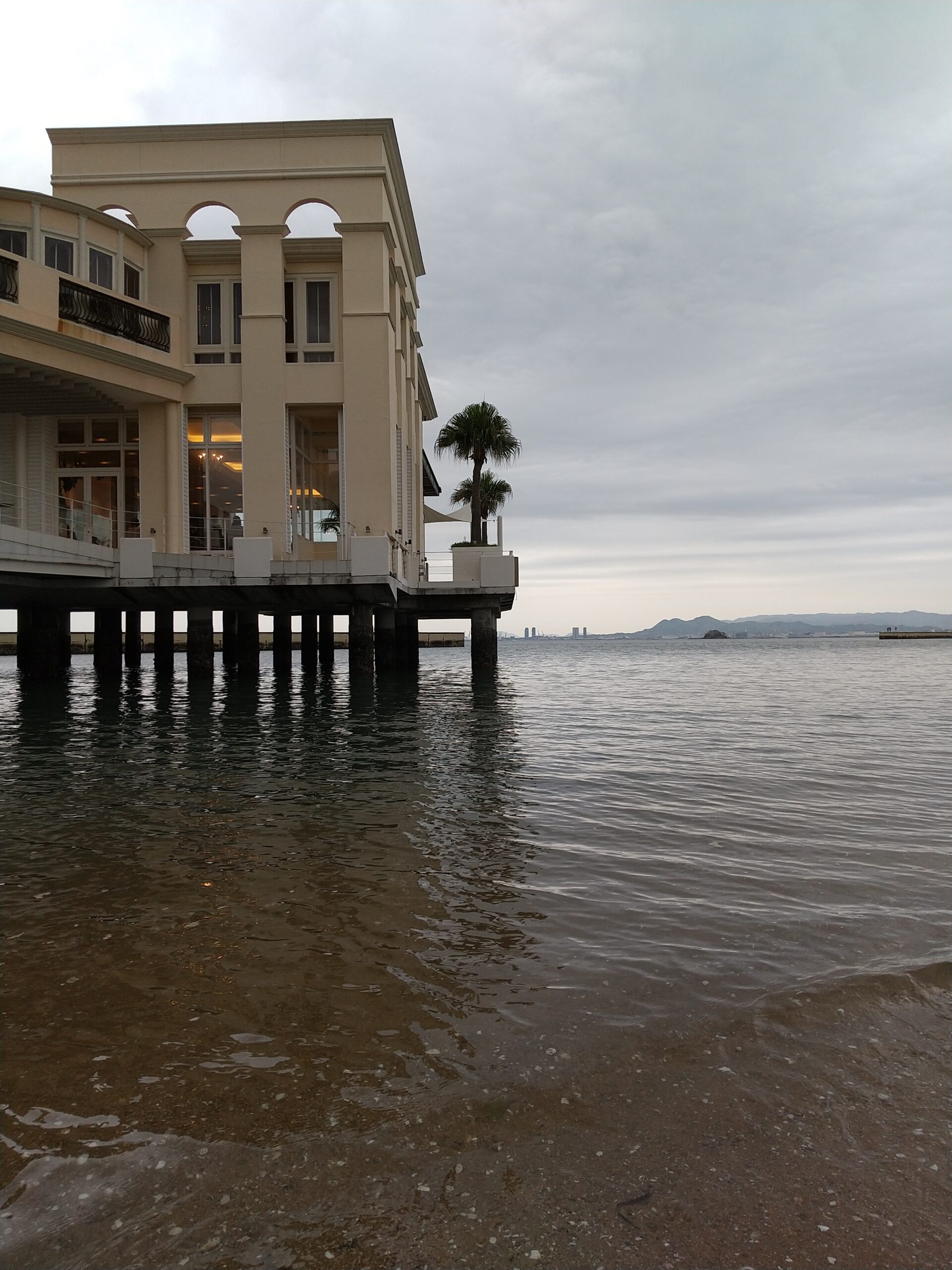 從瑪麗遜區眺望的博多港海濱百萬城公園景色
