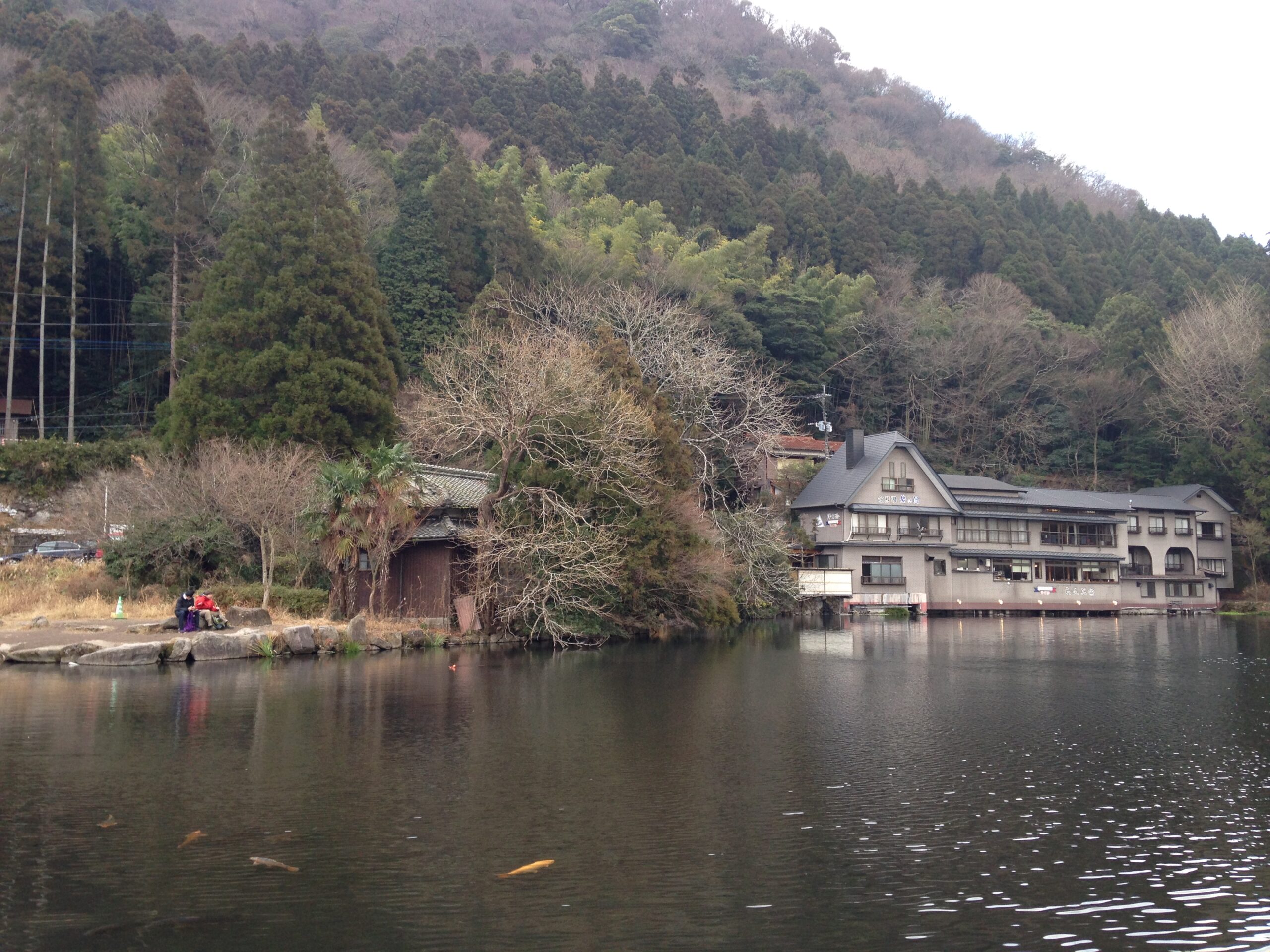 從西北湖岸拍攝的金鱗湖