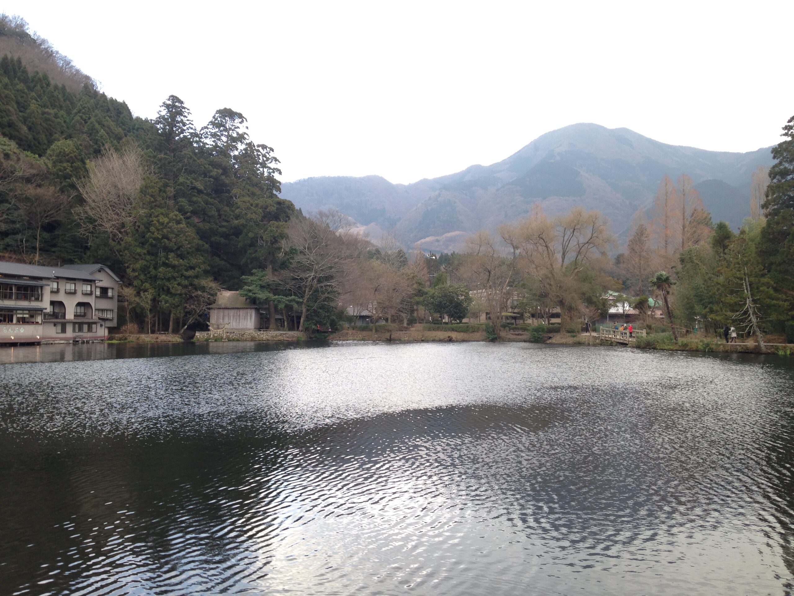 從西北湖畔遠眺倉頡山與錦鱗湖