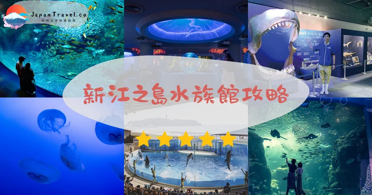 神奈川新江之島水族館攻略 - 完整遊覽指南 | JapanTravel.co