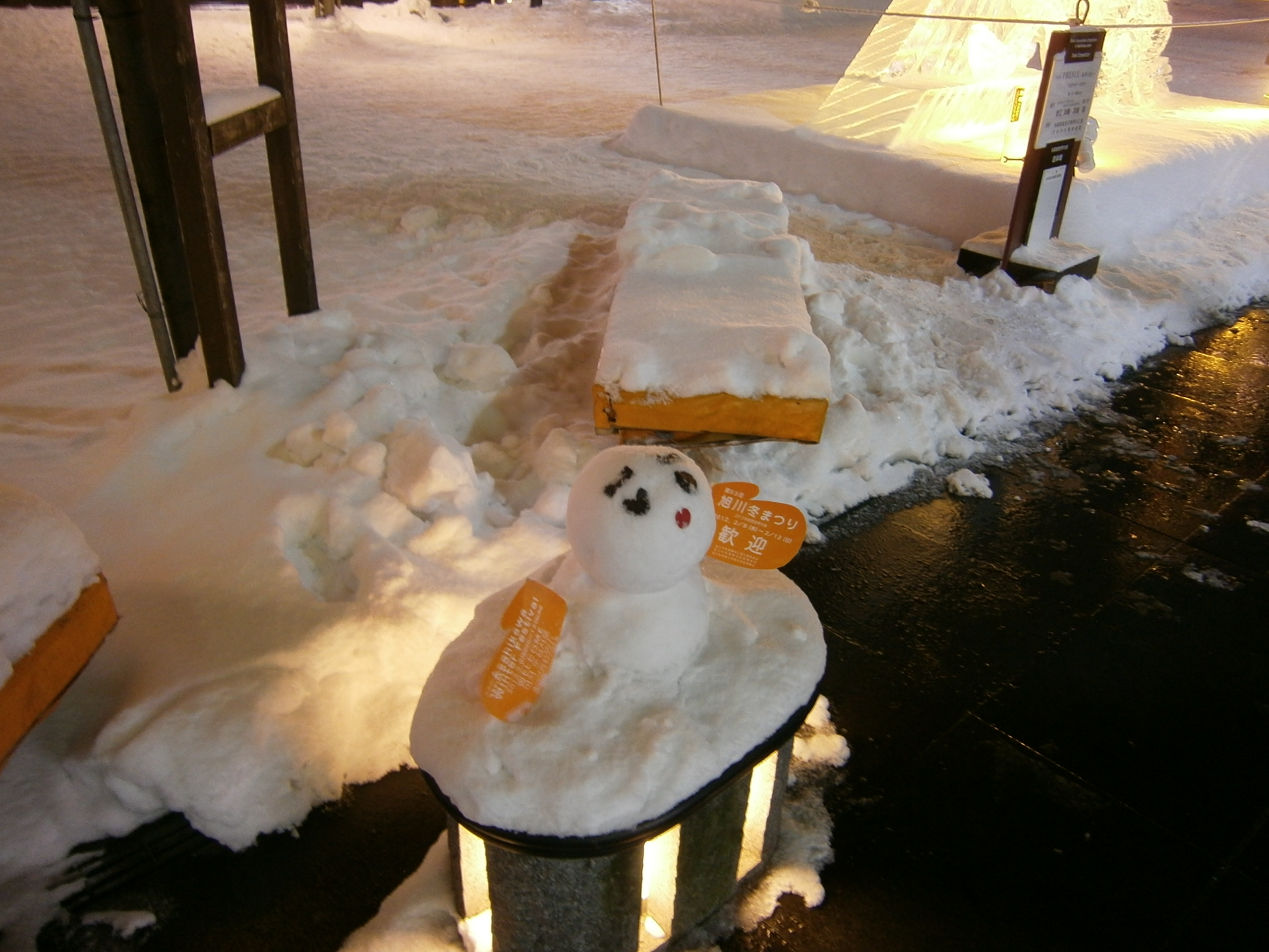旭川冬季祭典全景圖