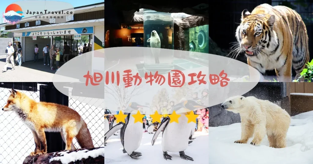 旭川旭川動物園攻略 - 完整遊覽指南 | JapanTravel.co