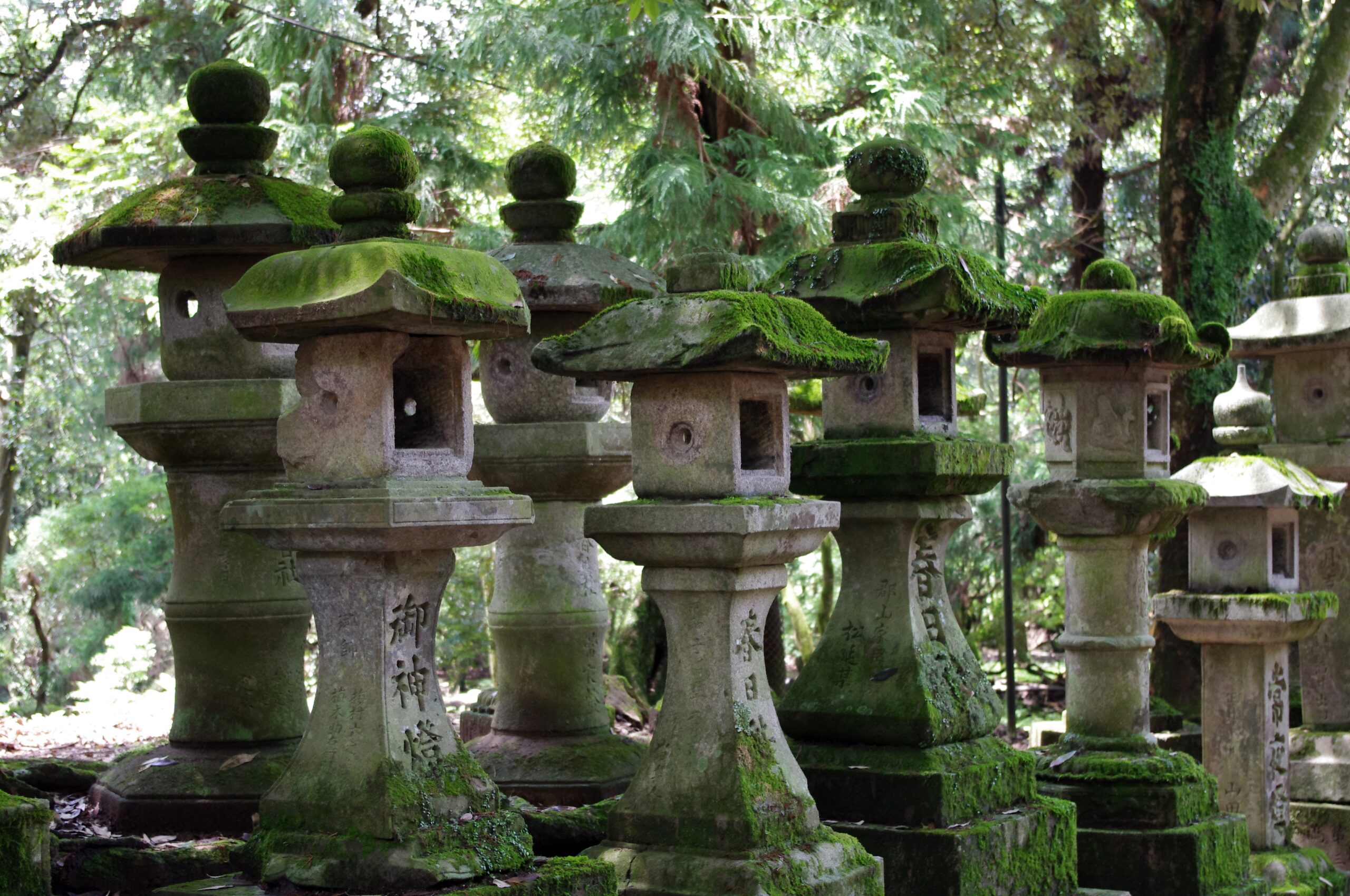 春日大社參道的石燈籠