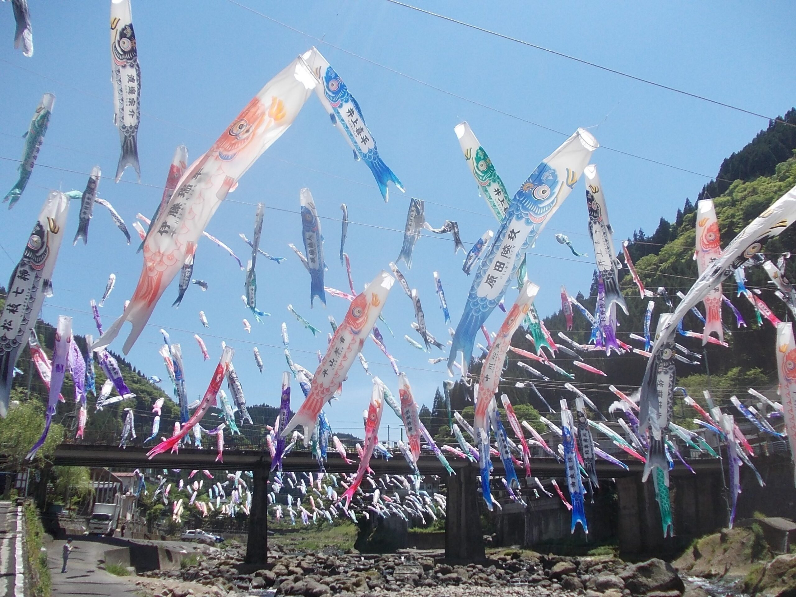 杖立溫泉鯉魚旗景象