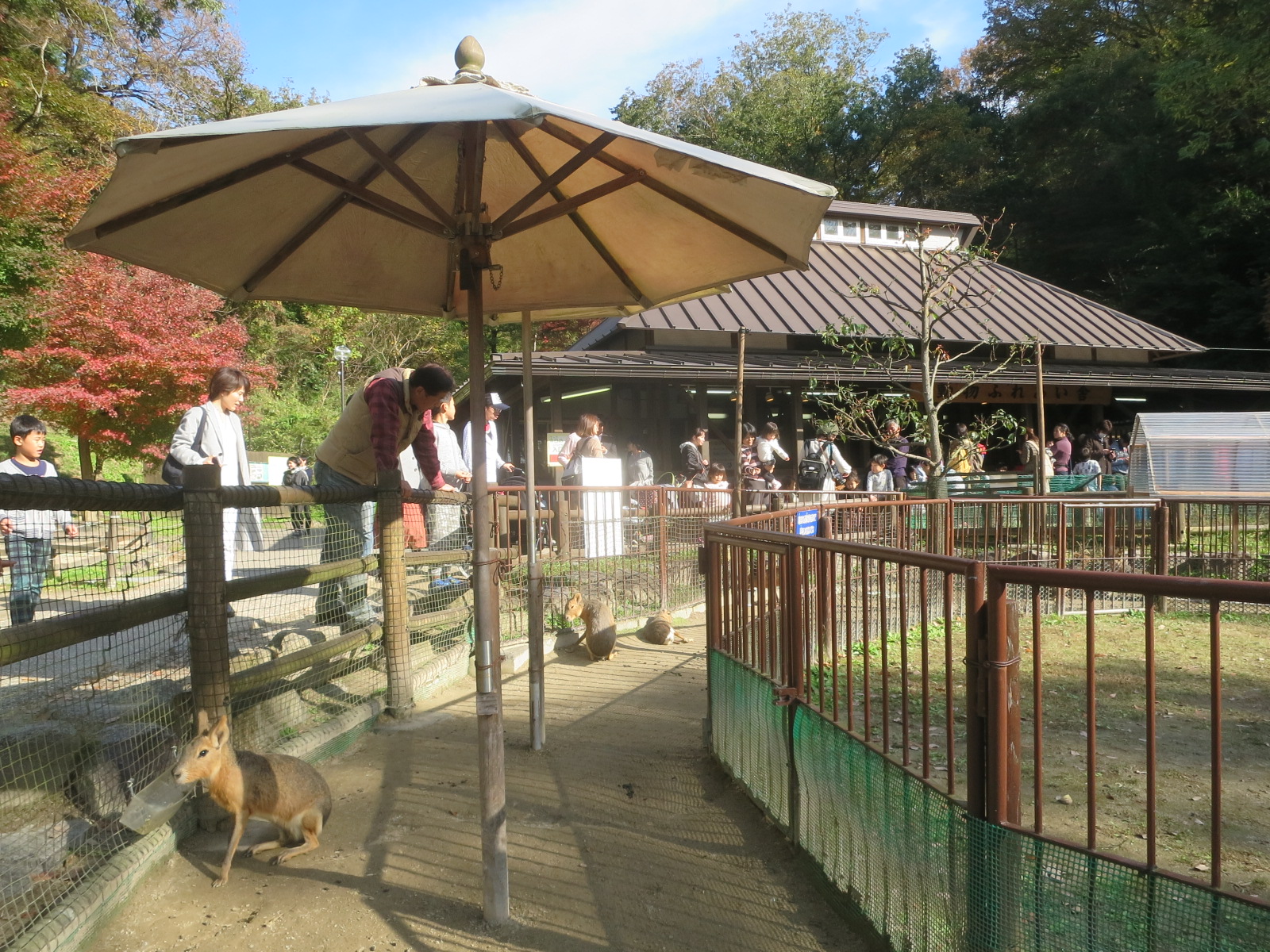 東公園動物