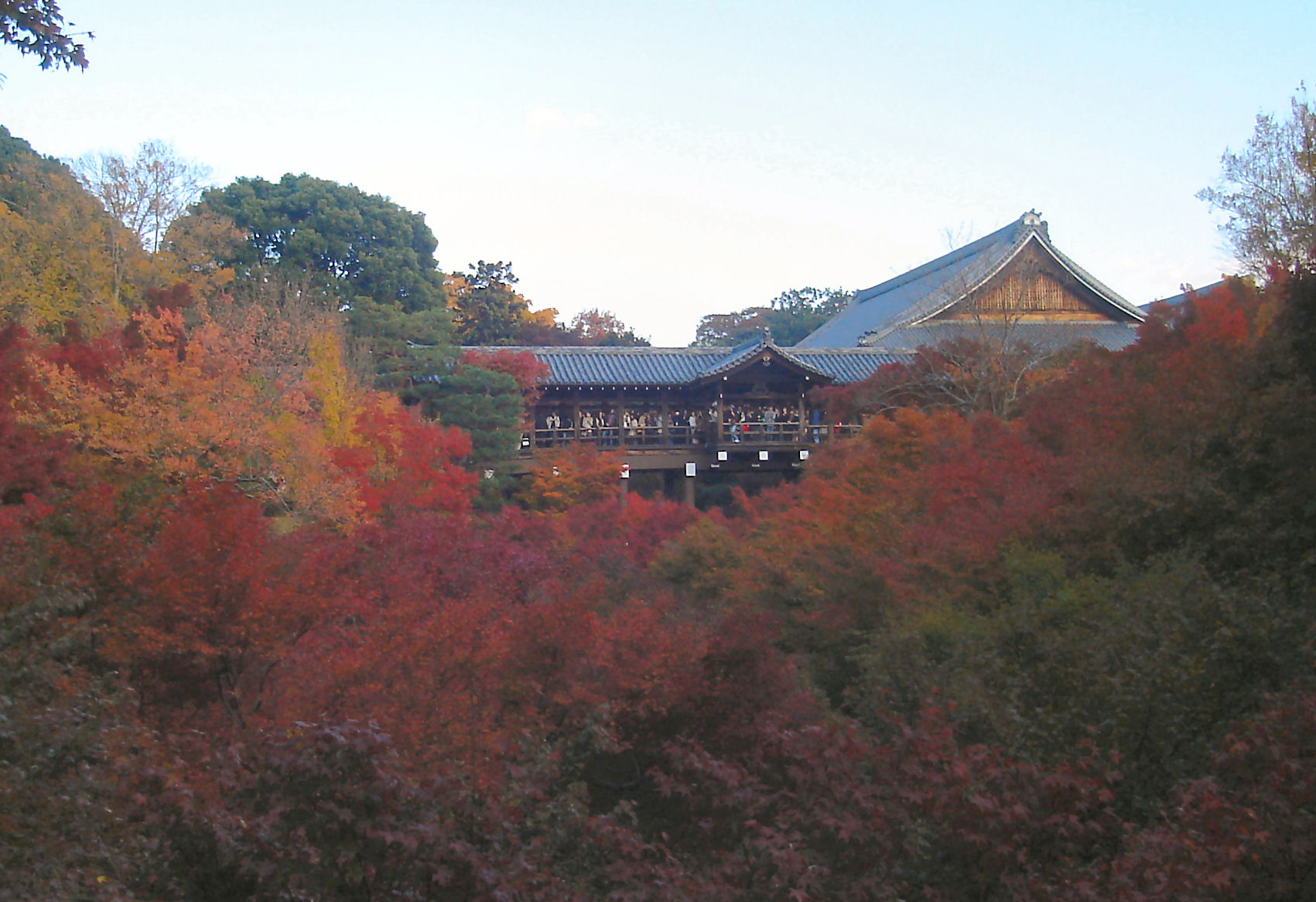 東福寺通天橋紅葉