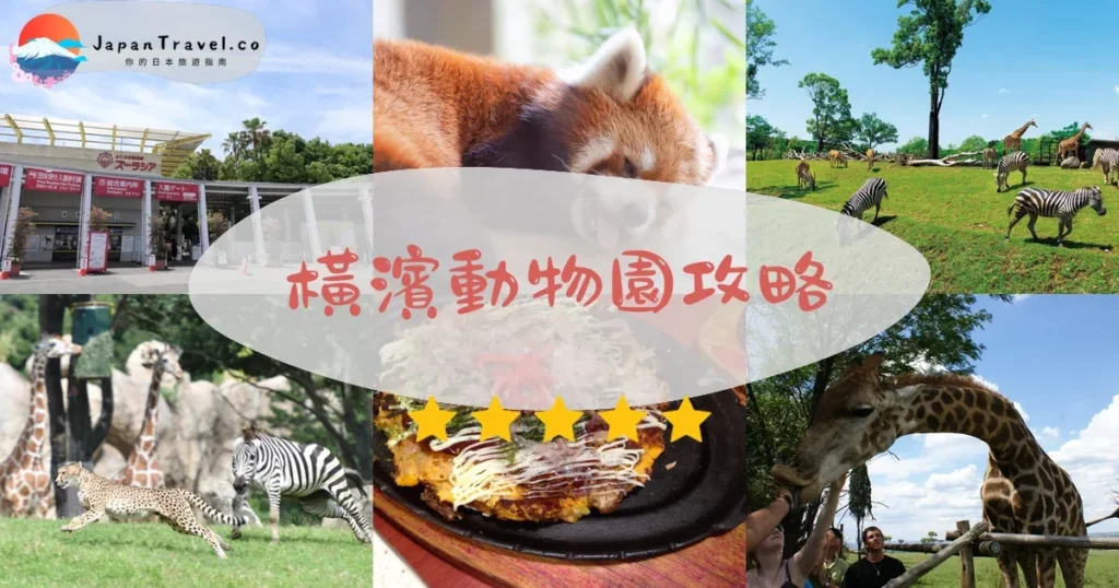 神奈川橫濱動物園攻略 - 完整遊覽指南 | JapanTravel.co