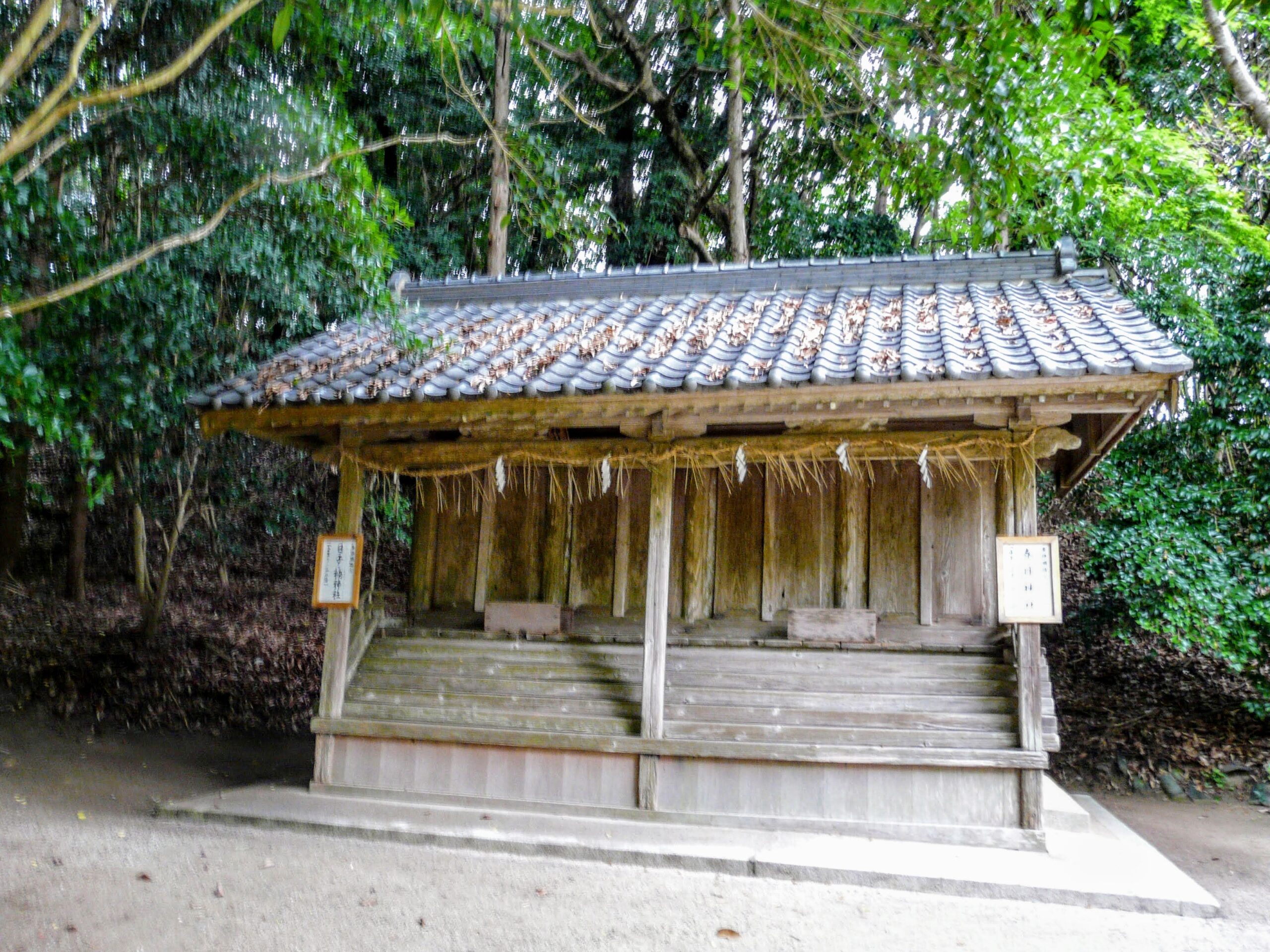 櫻井神社 4神社 001