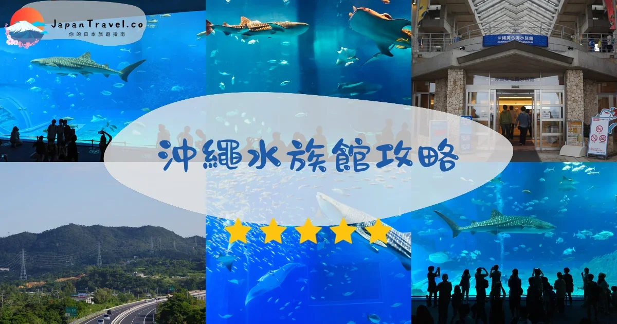 沖繩沖繩水族館攻略 - 完整指南 | JapanTravel.co