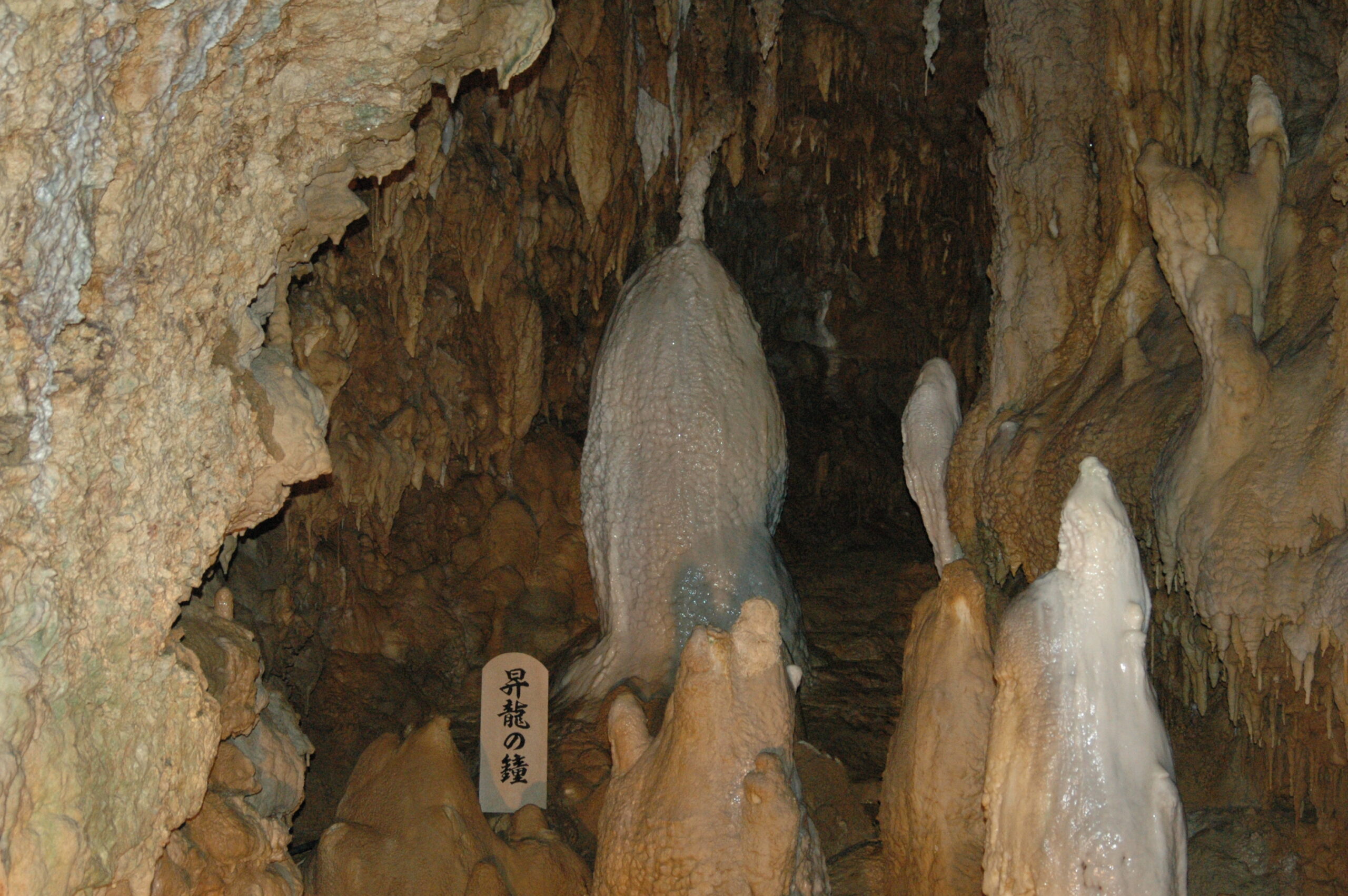 沖繩石垣島昇龍洞窟