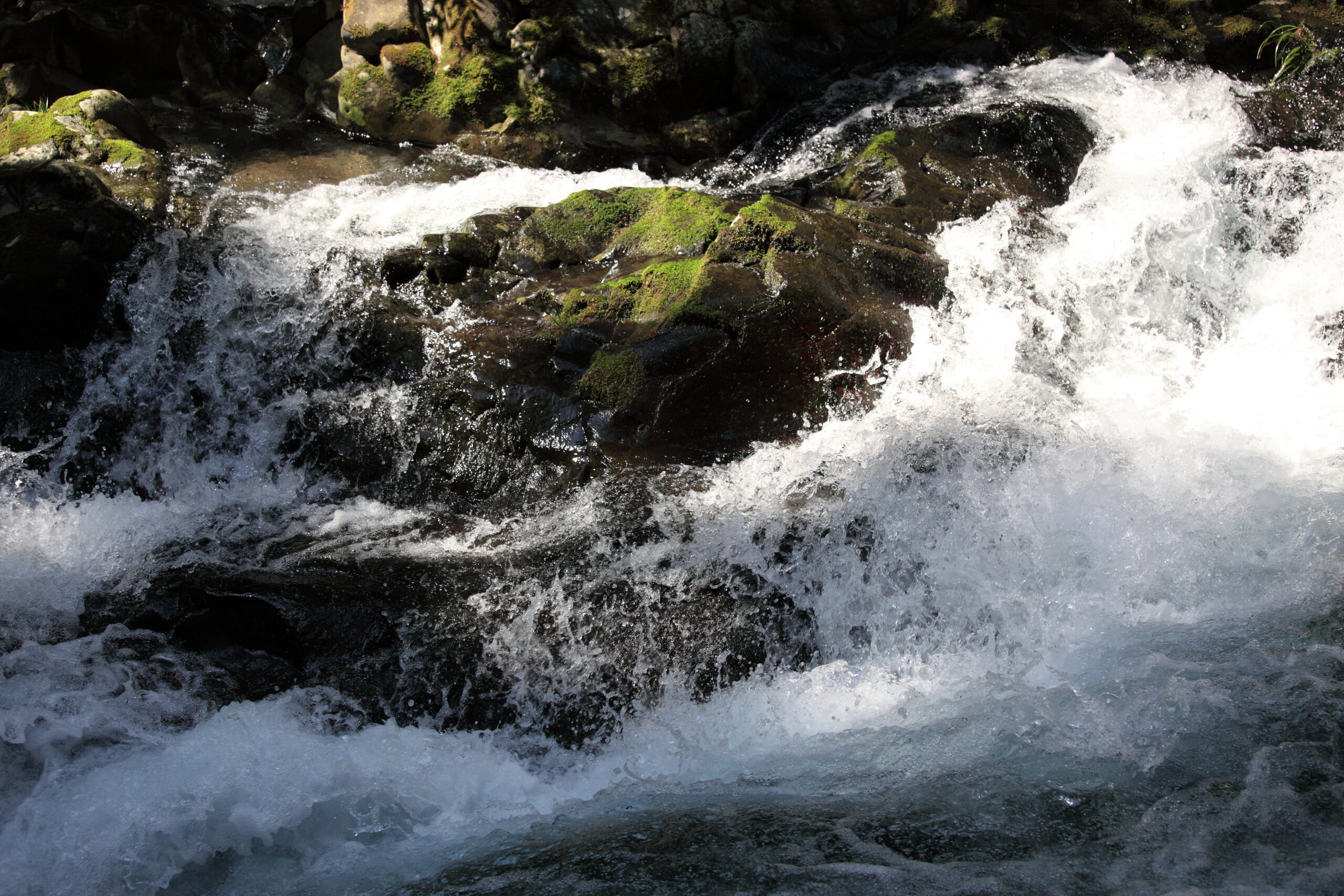 河津七瀧奔流瀑布