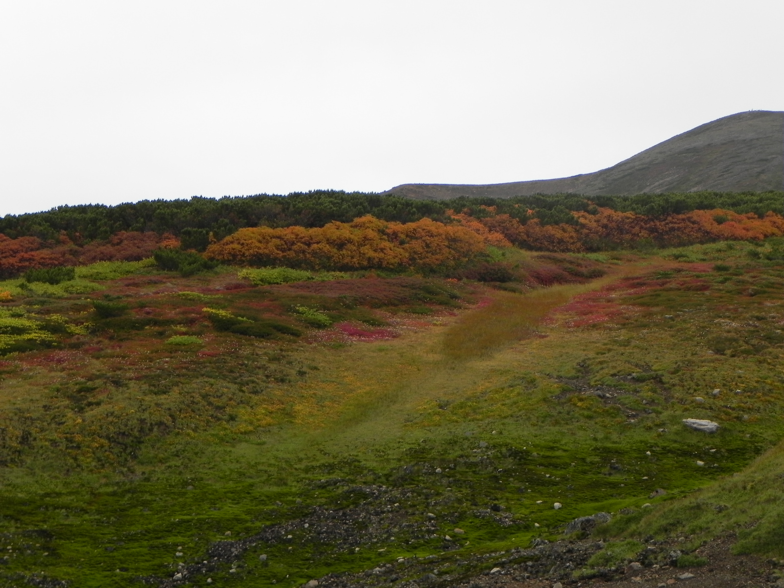 流逝的色彩（季節更迭）