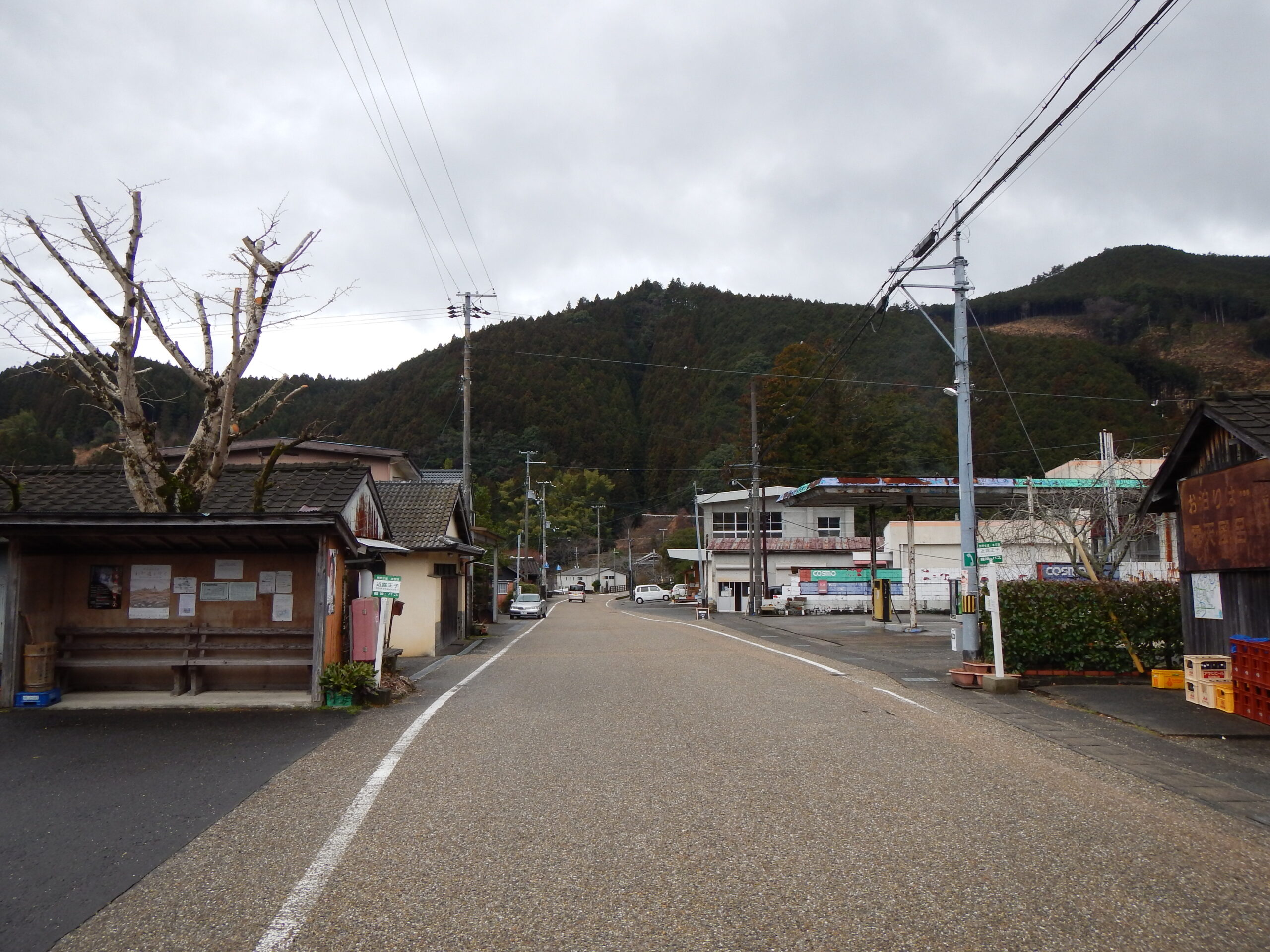 熊野古道中邊路：牛馬童子口至近露世界遺產路線