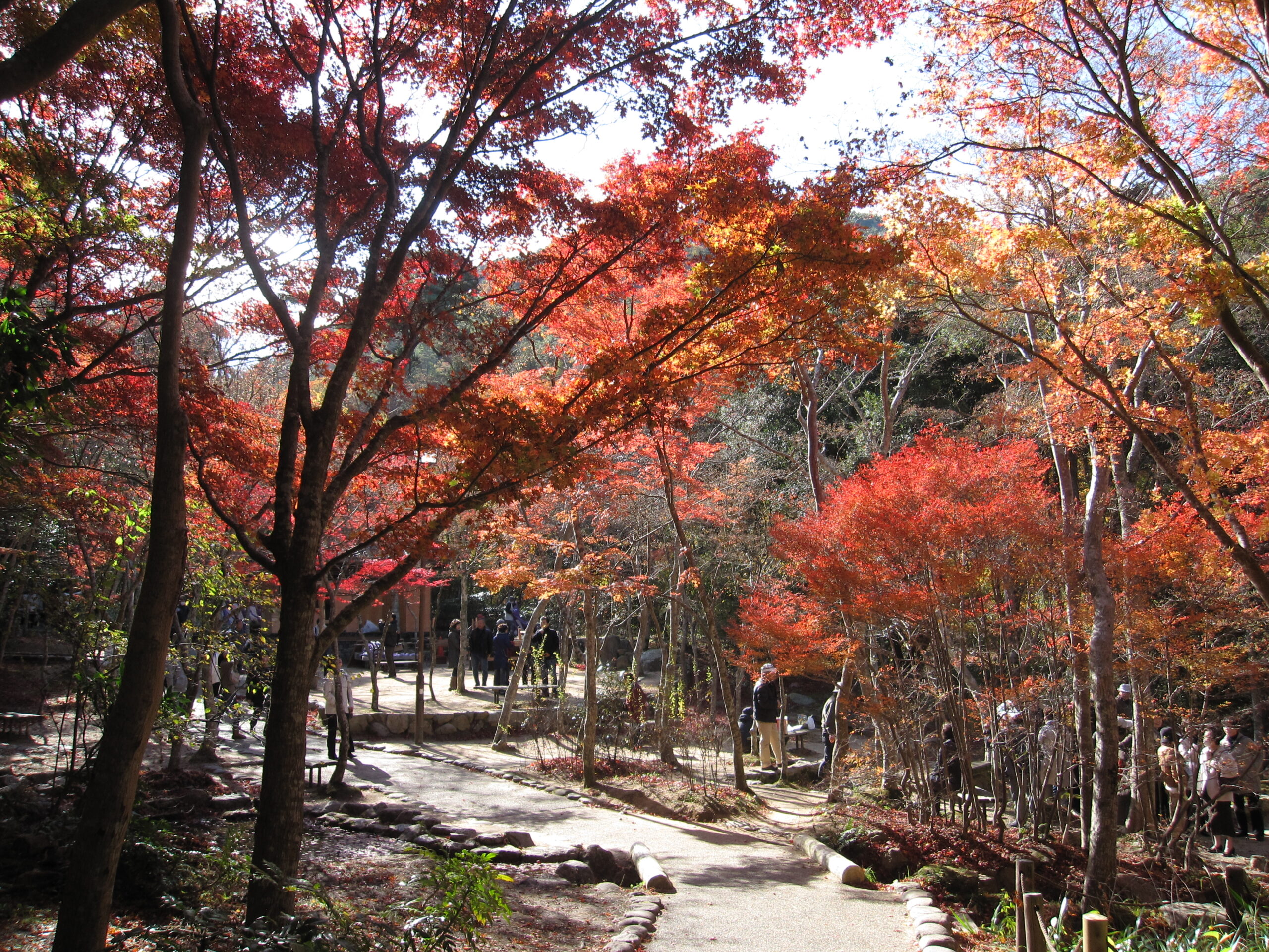 瑞寶寺公園秋季景色