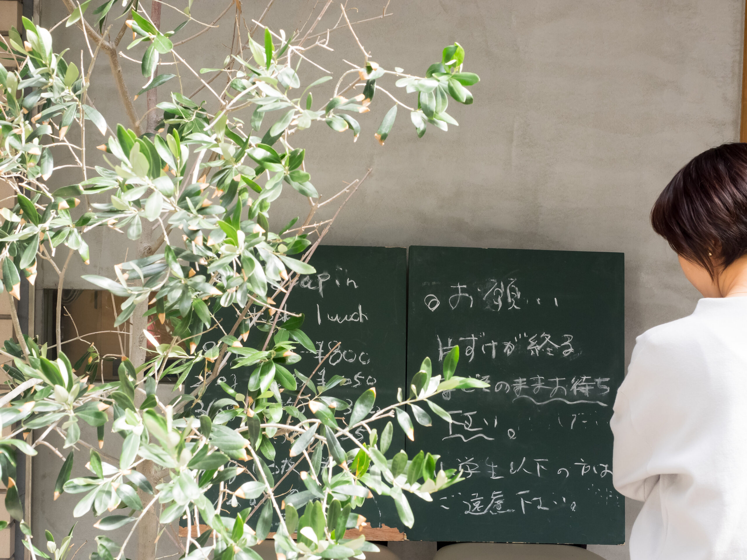 生田之森參道綠意盎然